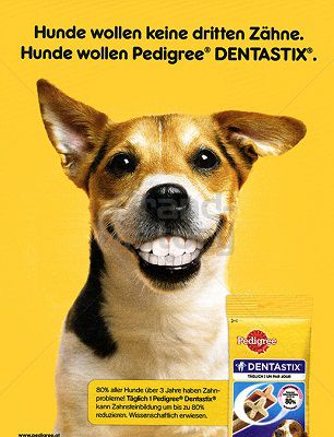 PEDIGREE® DENTASTIX™ und/oder Multivitamine gratis ausprobieren