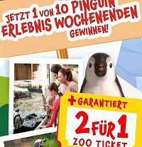 Mit kinder Pinguí 2 für 1 Zoo-Eintrittsgutschein &#038; Gewinnspielteilnahme