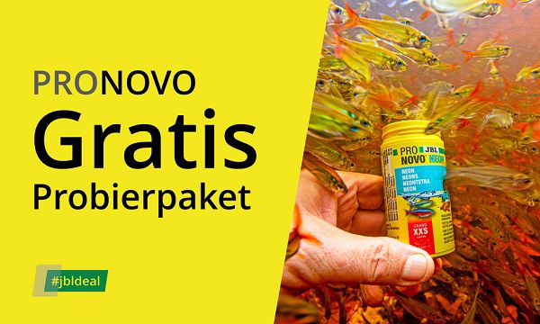 Noch verfügbar! PRONOVO Fischfutterprobe gratis erhalten