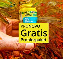Noch verfügbar! PRONOVO Fischfutterprobe gratis erhalten