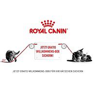 ROYAL CANIN®: Willkommensbox für Kätzchen gratis abholen