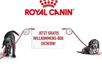 Wieder da! ROYAL CANIN®: Willkommensbox für Welpen gratis abholen