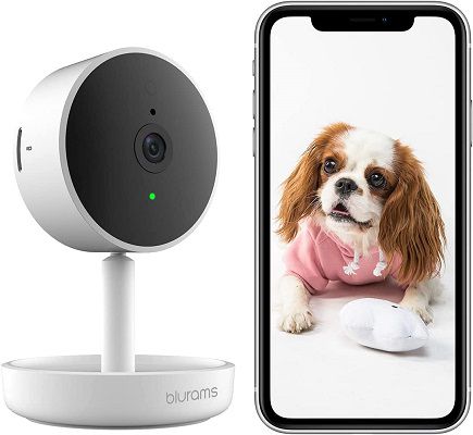 blurams Hundekamera mit 2 Wege Audio für 20,99€ (statt 44€)