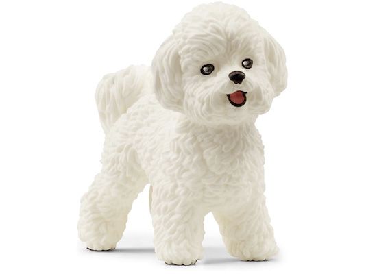 schleich Spielfigur   Bichon Frisé für 4€   Prime