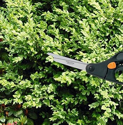 Fiskars S50 Buchsbaumschere, 26cm für 12,59€ (statt 15€)