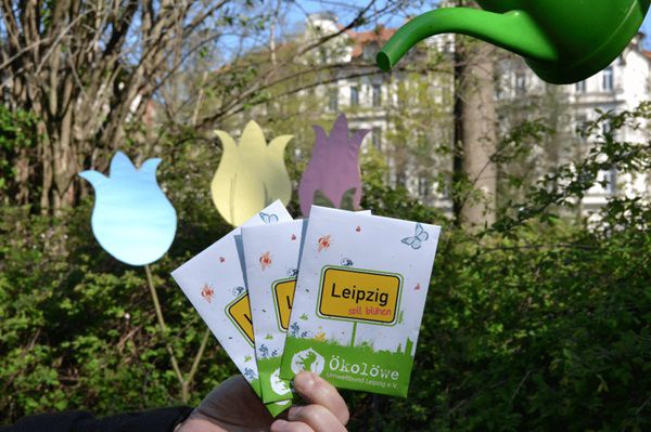 Leipzig: Kostenlose Ökolöwen Wildblumenmischung   ab heute
