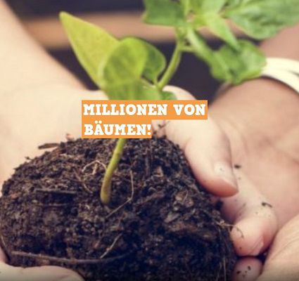 200.000 Baumsetzlinge kostenlos abholen & selbst pflanzen