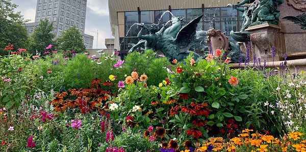 Leipzig: Kostenlose Ökolöwen Wildblumenmischung   ab heute