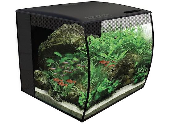 Fluval Flex Nano Süßwasser Aquarium mit 34L für 83,29€ (statt 100€)