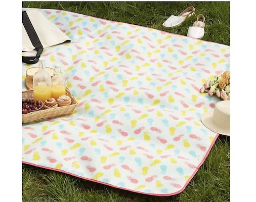 Amazon Basics Picknickdecke mit 150 x 195 cm für 9,49€ (statt 15€)