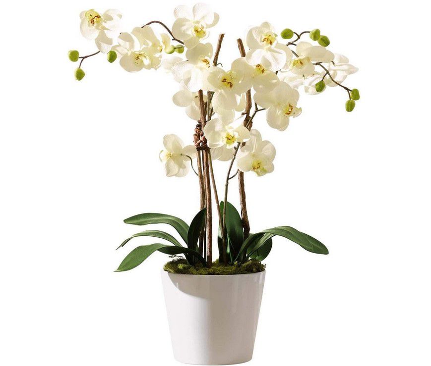 Orchidee Kunstpflanze mit weißem Keramiktopf für 19,99€ (statt 30€)