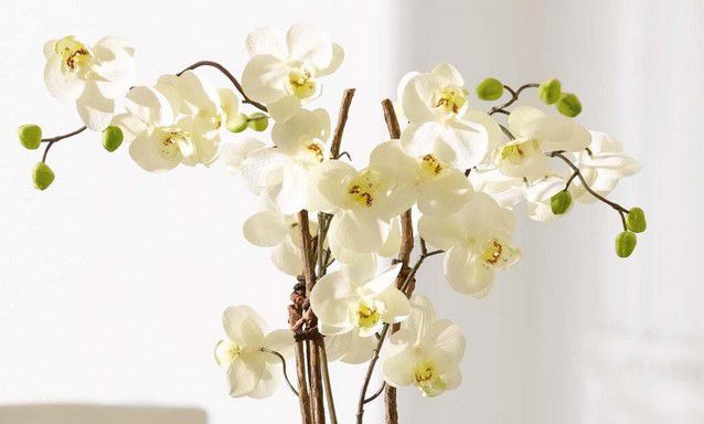 Orchidee Kunstpflanze mit weißem Keramiktopf für 19,99€ (statt 30€)