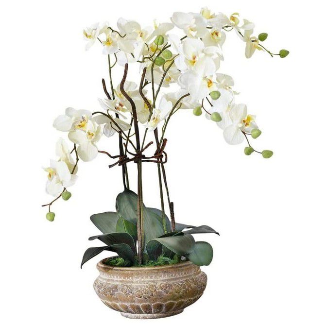 PureDay Orchidee Kunstpflanze 58cm für 24,99€ (statt 40€)