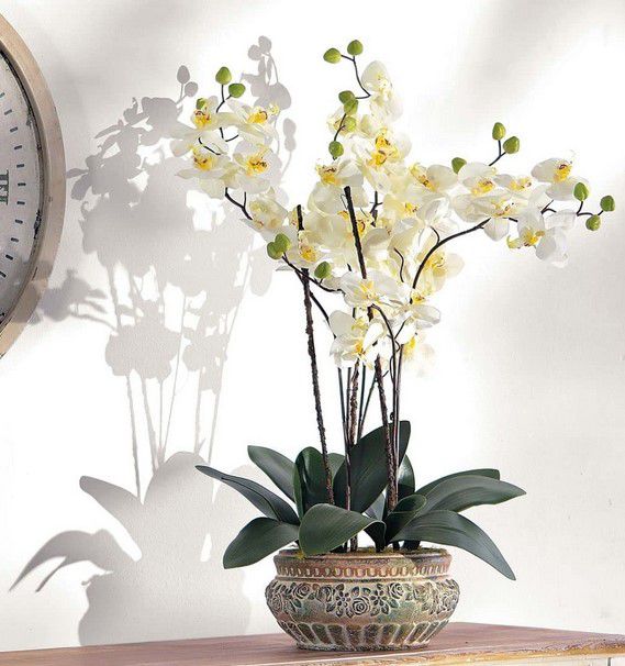 PureDay Orchidee Kunstpflanze 58cm für 24,99€ (statt 40€)