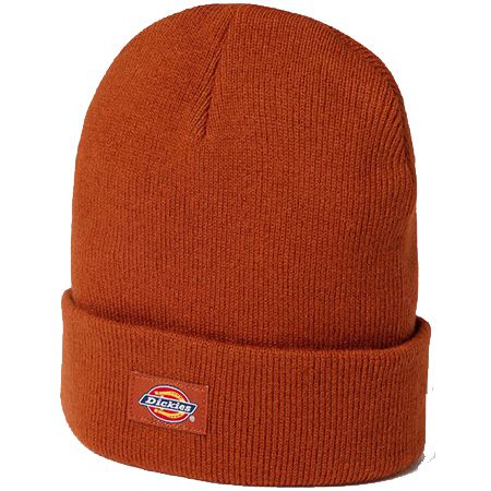 Dickies Gibsland Beanie in 2 Farben für je 9,99€ (statt 18€)