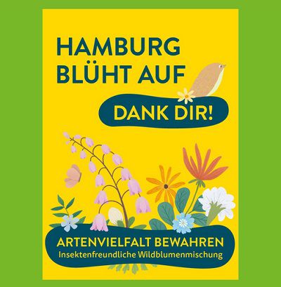 Lokal: Kostenlose Wildblumenmischung in Hamburgs Bücherhallen abholen