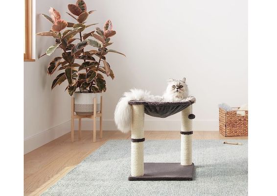 Amazon Basics – Katzen Kratzbaum mit 41 x 51 x 41 cm für 20,43€ (statt 26€)