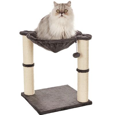Amazon Basics – Katzen-Kratzbaum mit 41 x 51 x 41 cm für 20,43€ (statt 26€)