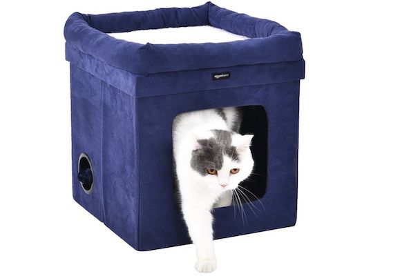 Amazon Basics   Faltbares Katzenhaus in Blau für 21,19€ (statt 34€)