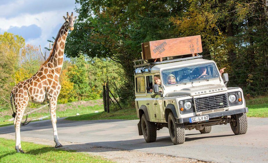 🦁 Heute & Morgen: Freier Eintritt in den Serengeti Park mit BILDplus