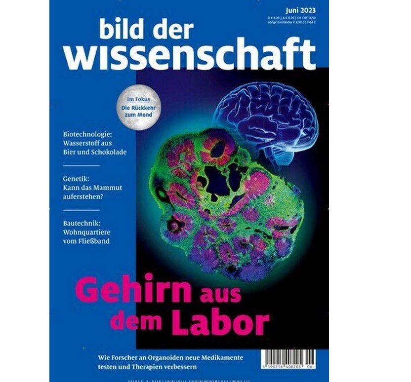 Bild der Wissenschaft Jahresabo für nur 24,90€ (statt 129€)