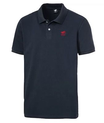 Polo Sylt Poloshirt in 4 Farben für je 18,33€ (statt 25€)