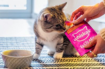 Noch verfügbar: Futterproben von Whiskas gratis abholen