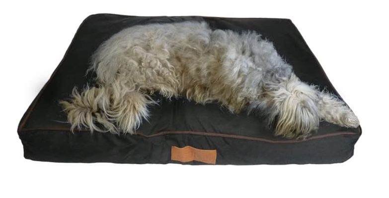 Ellie Bo Hundebett in Größe M mit 71 x 48 x 10 cm für 10,57€ (statt 20€)