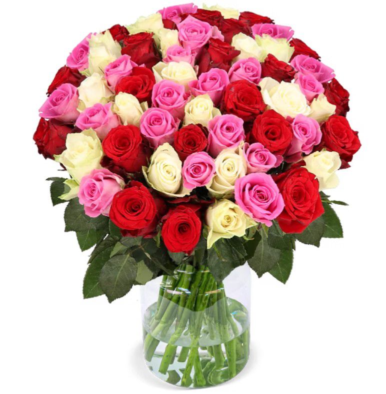 Love Loud Rosenstrauß dreifarbig 40 Blüten für 26,98€