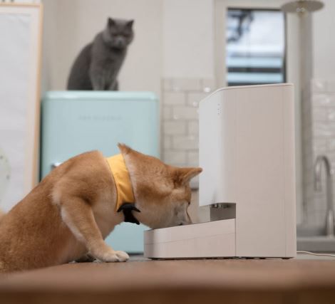 Xiaomi Smart Pet Futterautomat mit App Anbindung für 54,99€ (statt 98€)