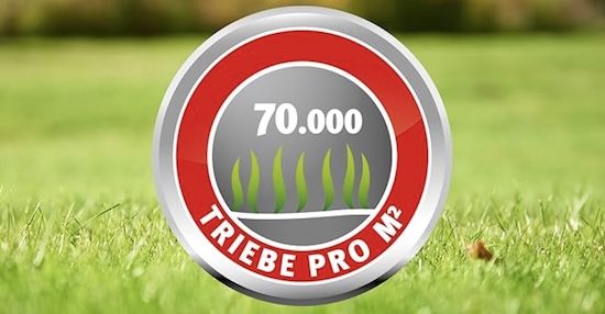 🌱 WOLF Garten Turbo Nachsaat für 120 m² für 20,99€ (statt 30€)