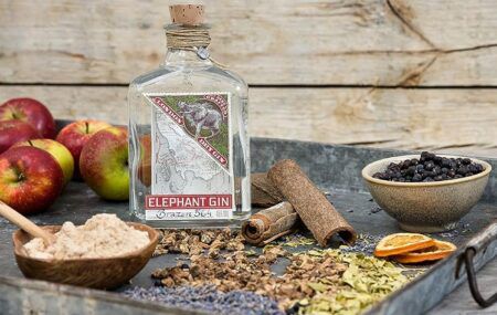 Elephant London Dry Gin 45% ABV 500ml für 24,71€ (statt 34€)