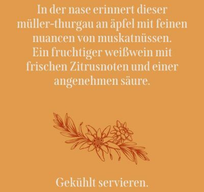 by Amazon Müller Thurgau Weißwein 0,75L für 2,75€ oder 4 Flaschen für 8,90€ (statt 12€)