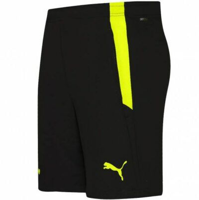 Puma Fanartikel Sale ab 3,99€   z.B. BVB Trainings Oberteil ab 25€ (statt 42€)