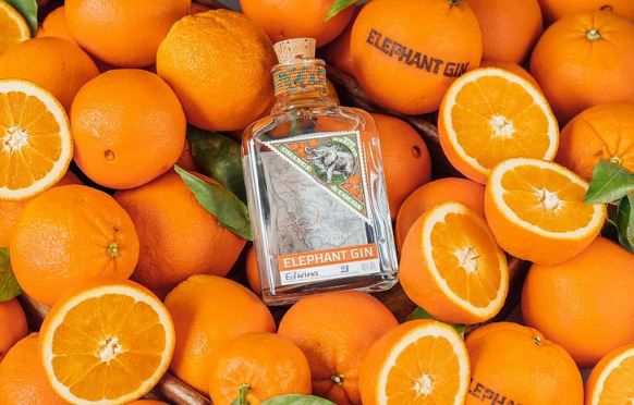 Elephant Orange Cocoa Gin mit Geschenkbox, 40% Vol., 0,5L für 29,69€ (statt 37€)