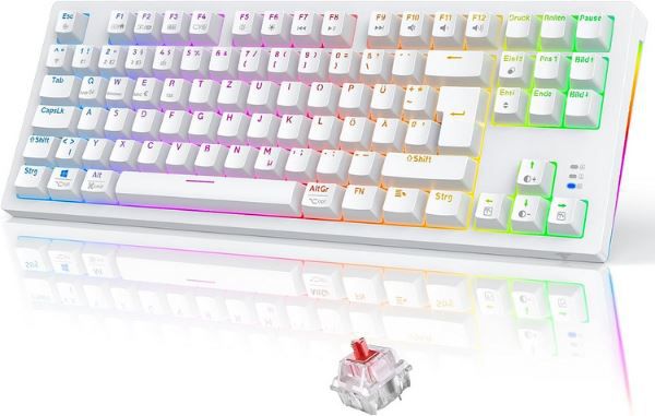 Gaming Tastatur Mechanische, Gamer Kabellos RGB Tastatur TECURS