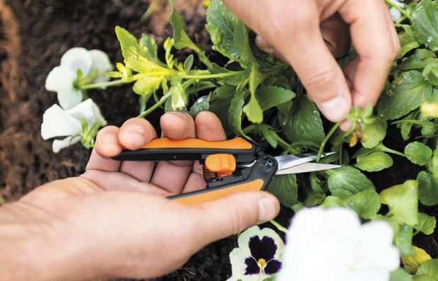 Fiskars SP13 Microtip Gartenschere für 8,22€ (statt 14€)