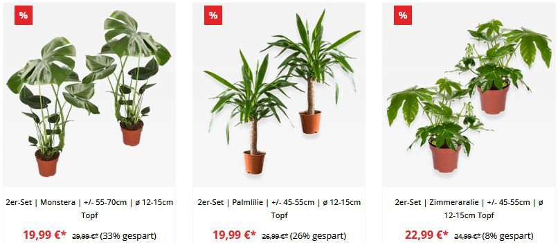 Pflanzeplus: 3 Pflanzen oder Sets kaufen und nur 2 bezahlen