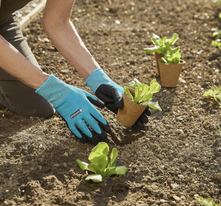 Gardena Pflanz  und Bodenhandschuh, Größe 8/M für 7,64€ (statt 9€)