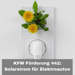 KFW Förderung 442: Solarstrom für Elektroautos