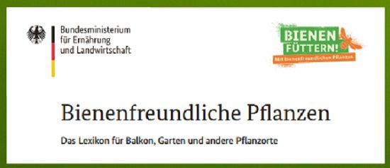 Kostenlos: Bienenfreundliche Pflanzen   Das Lexikon für Balkon, Garten usw.