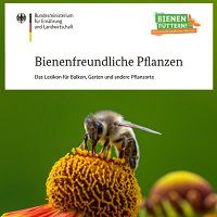 Wieder da! Kostenlos: Bienenfreundliche Pflanzen – Das Lexikon für Balkon, Garten usw.