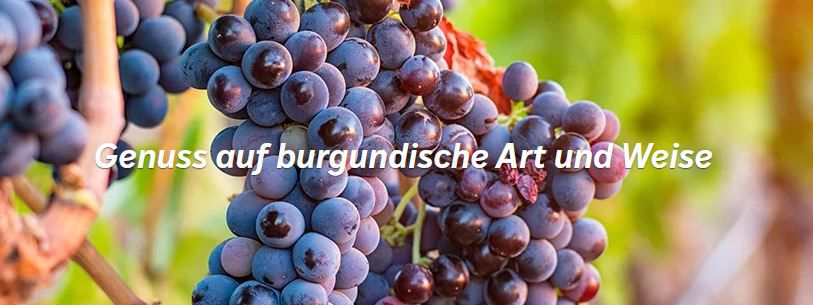 8 Flaschen Rotwein als Luxuriöses Weinpaket + 4 Gläser für 55,99€ (statt 79€)