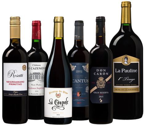 6 Flaschen Kennenlern Rotwein Paket inkl. 1,5L Magnumflasche für 36,94€ (statt 57€)