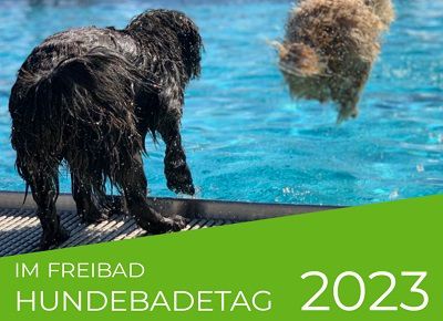 Hundebadetage 2023   in manchen Orten gratis Eintritt