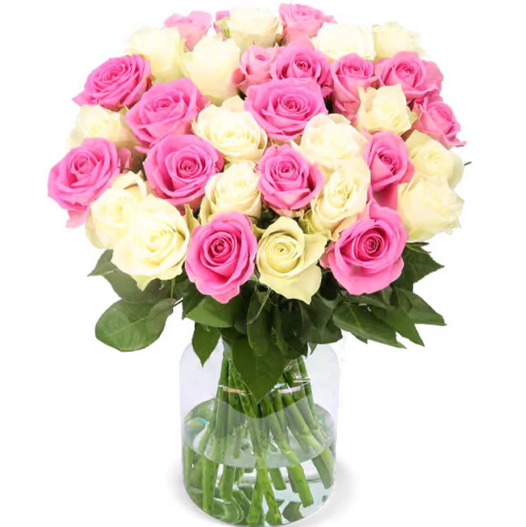 CandyCotton 50 Rosa & Weiße Rosen für 30,48€