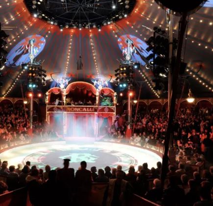 Tickets für Circus Roncalli in München für Oktober ab 15,75€ (statt 27€)