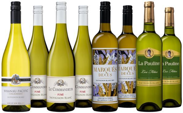 Sauvignon Blanc Weinpaket mit 8 Flaschen für 62,77€ (statt 83€)