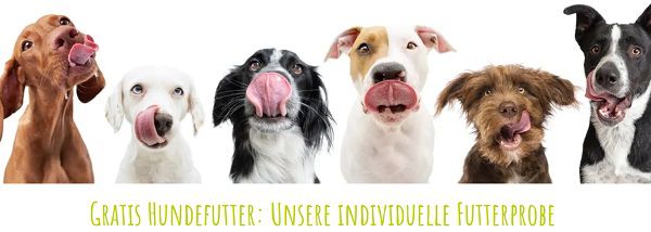 futalis: kostenlose Hundefutterprobe anfordern