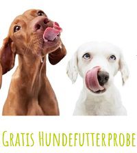 futalis: kostenlose Hundefutterprobe anfordern